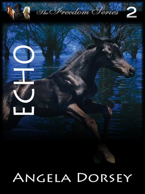 cover image of Echo